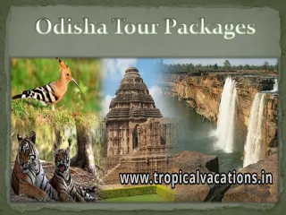 Odisha tour packages - slide 1