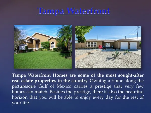 Tampa Waterfront homes for sale