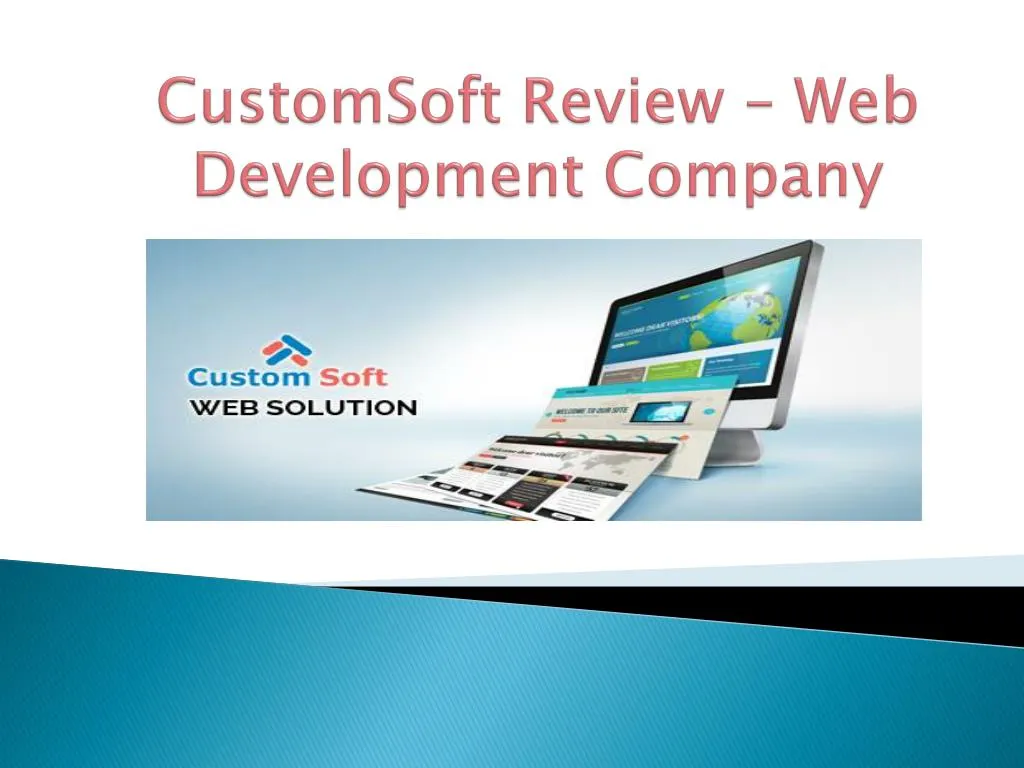 customsoft review web development company