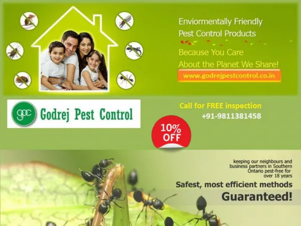Get 10% off on pest control Faridabad