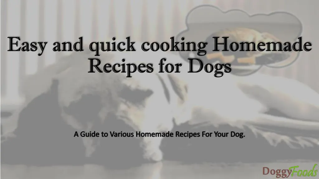 easy and quick cooking homemade recipes for dogs