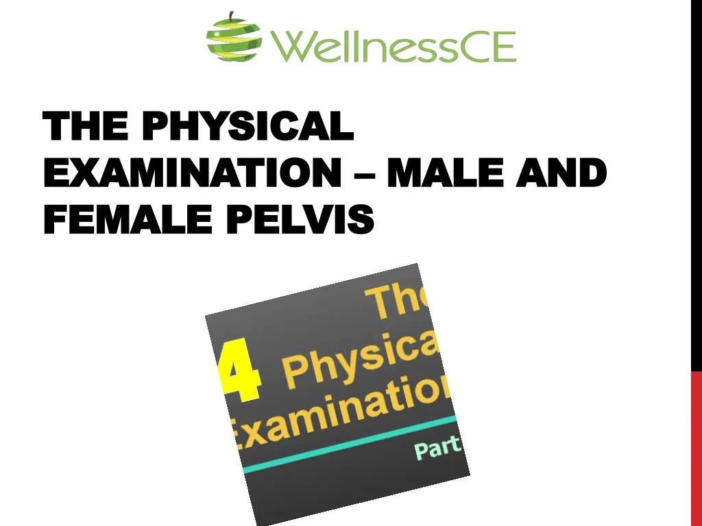 the physical examination male and female pelvis