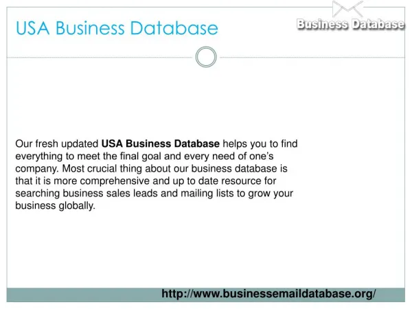 USA Business Database