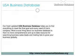 USA Business Database - slide 1