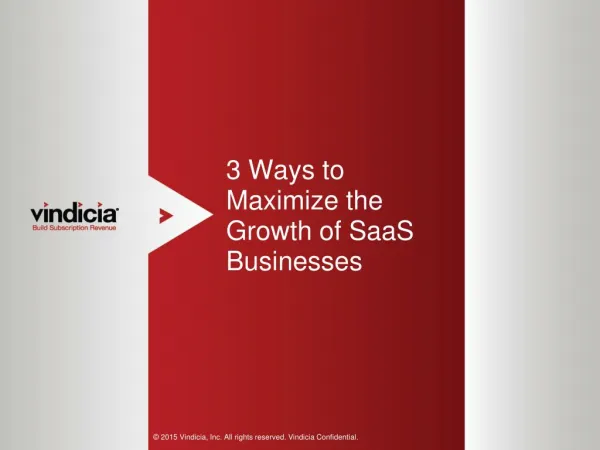 3 Ways to Maximize the Growth of SaaS Businesses | Vindicia