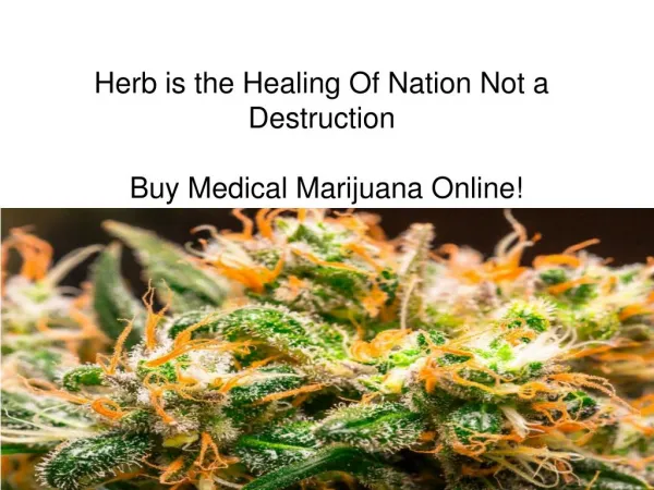 Herb is the Healing Of Nation Not a Destruction