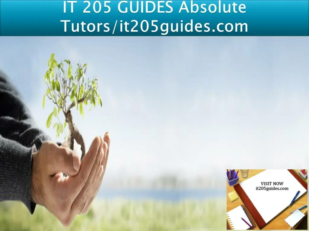 it 205 guides absolute tutors it205guides com