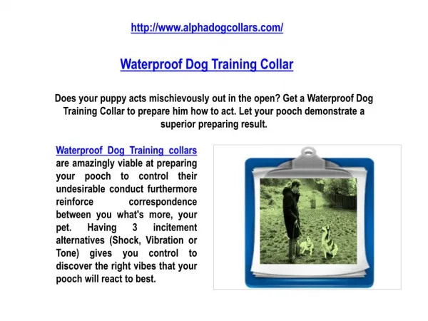 Waterproof Dog Training Collar