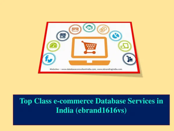 Top Class e-commerce Database Services in India (ebrand1616vs)