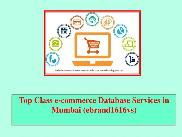 Top Class e-commerce Database Services in Mumbai (ebrand1616vs)