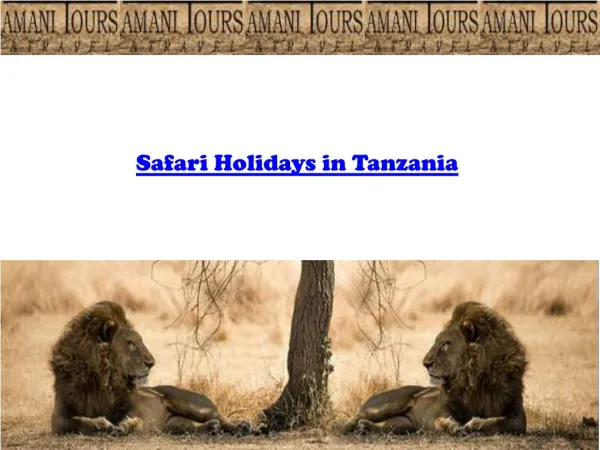 Safari Holidays in Tanzania