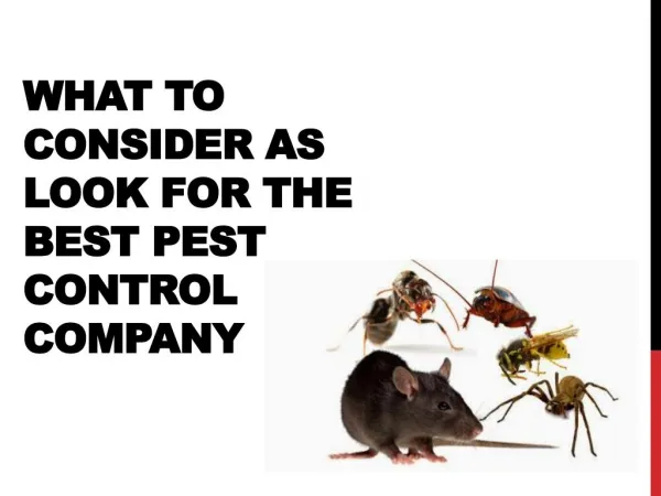 What to Consider as look for the best pest control company