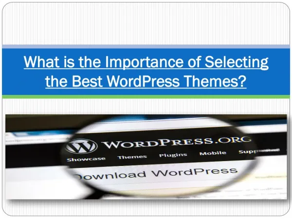 What is the Importance of Selecting the Best WordPress Themes