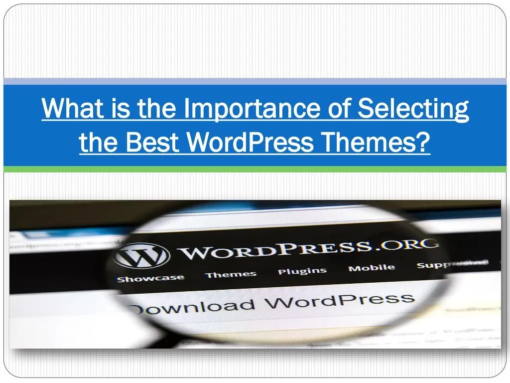 what is the importance of selecting the best wordpress themes