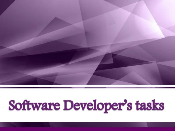 Software Developer’s tasks
