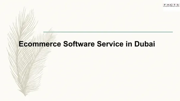 Ecommerce Software Service in Dubai