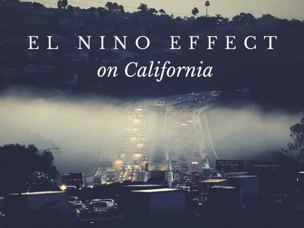 El Nino Effect