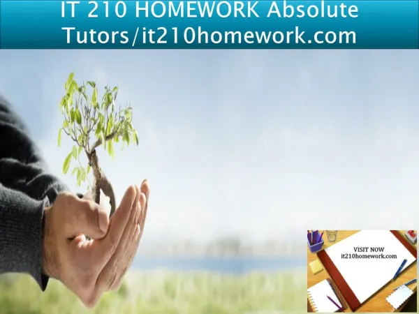 IT 210 HOMEWORK Absolute Tutors/it210homework.com