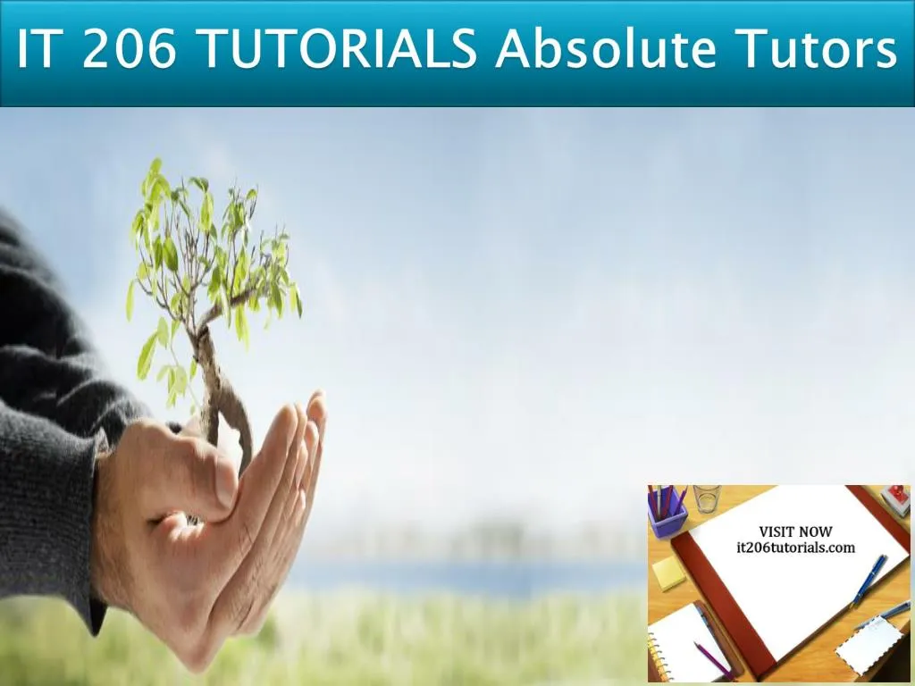 it 206 tutorials absolute tutors