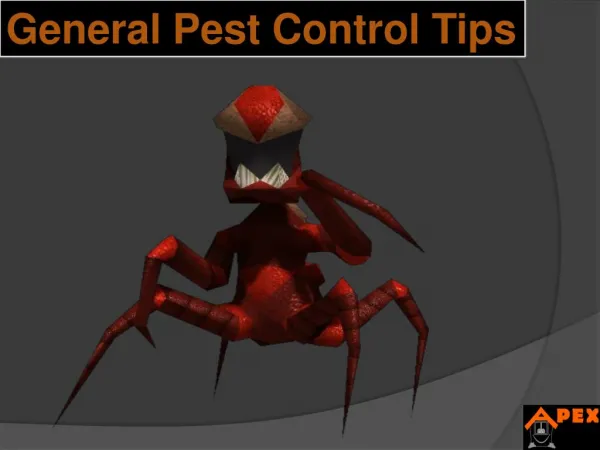 General Pest Control Tips