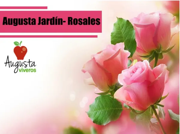 Augusta Jardín- Rosales