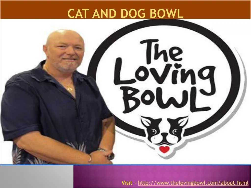 cat and dog bowl