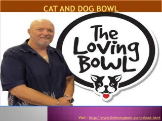 Dog bowl and Cat Bowl - slide 1