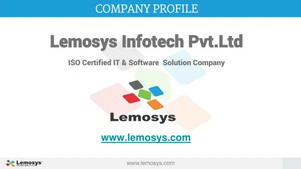Lemosys Infotech Company Profile with our services