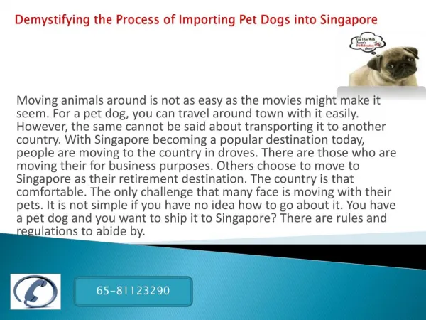 Demystifying the Process of Importing Pet Dogs into
