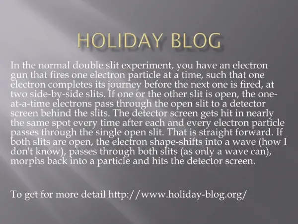 www.holiday-blog.org
