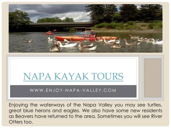 Kayak Napa Valley