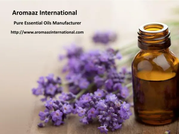 Organic essential oil suppliers and manufacturers at aromaaz international!