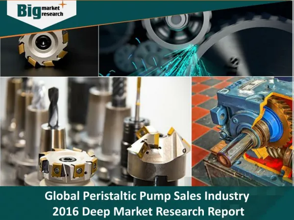 Global Peristaltic Pump Sales Industry 2016 Deep Market Research Report