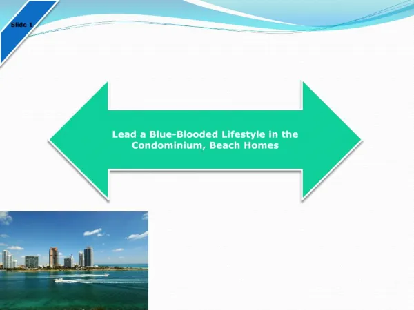 Lead a Blue-Blooded Lifestyle in the Condominium, Beach Homes
