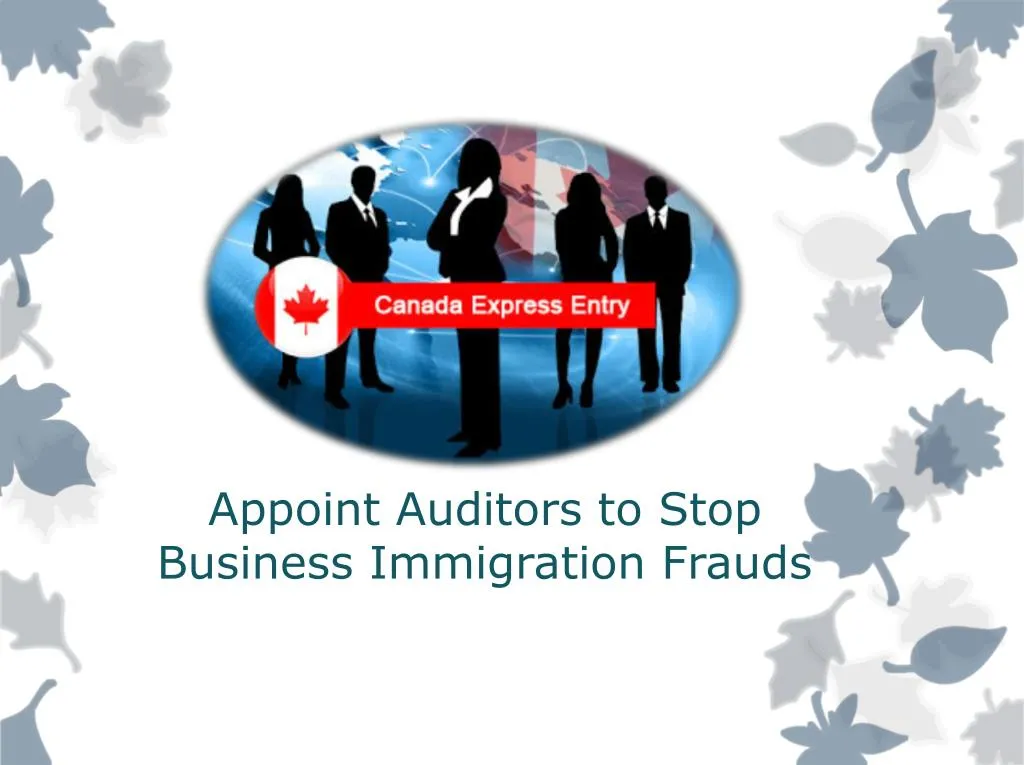 appoint auditors to stop business immigration frauds