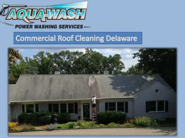 Commercial Roof Cleaning Delaware
