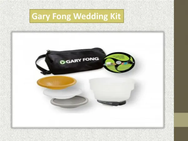 Gary Fong Wedding Kit