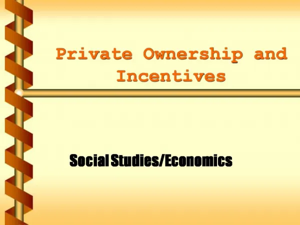 Private Ownership and Incentives