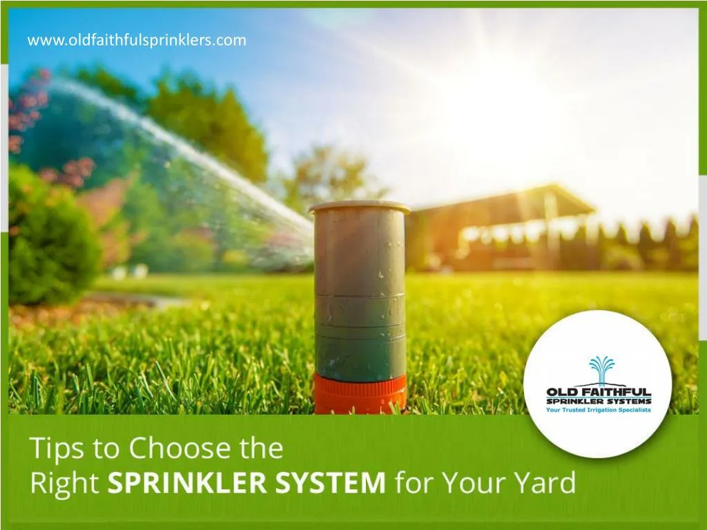 tips to choose the right sprinkler system for your yard