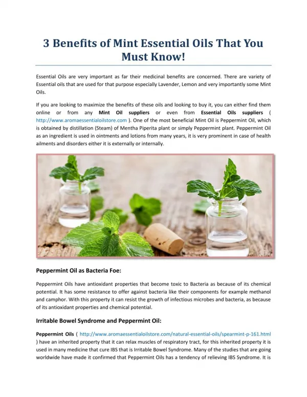 3 Benefits of Mint Essential Oils That You Must Know!