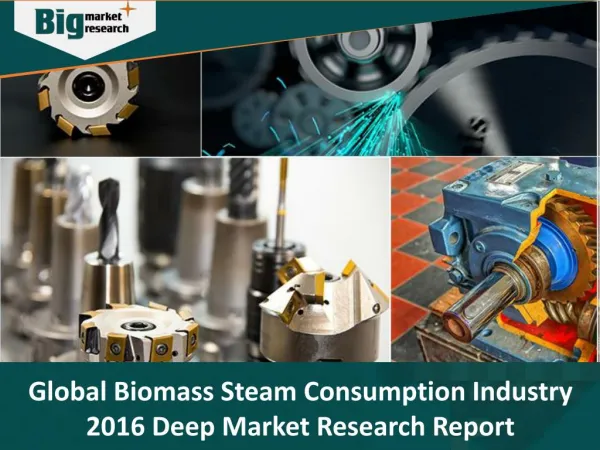 Global Biomass Steam Boiler Consumption Industry 2016 Deep Market Research Report - Big Market Research