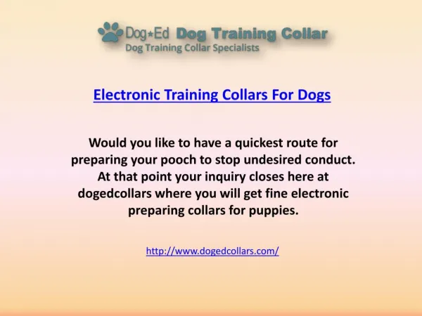 Electronic training collars for dogs