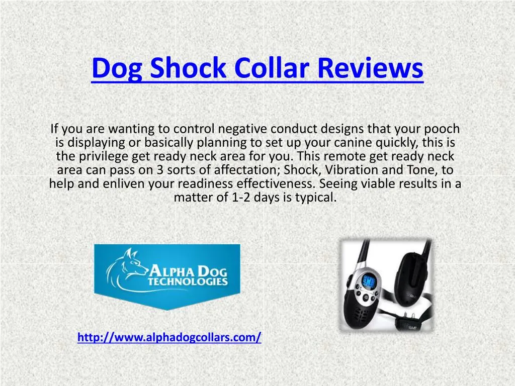 dog shock collar reviews