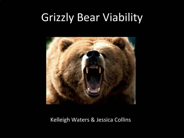 Grizzly Bear Viability