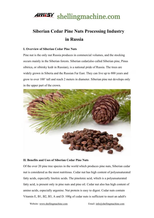 Russian Siberian Cedar Pine Nuts Processing Industry-Shelling,Pressing
