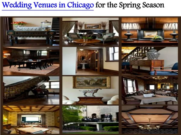 Wedding venues in Chicago for the Spring Season