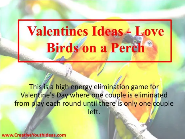 Valentines Ideas - Love Birds on a Perch