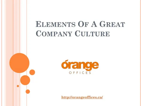 Elements Of A Great Company Culture