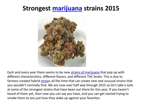 Strongest marijuana strains 2015