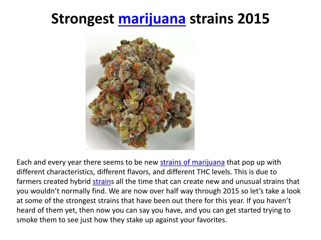 strongest marijuana strains 2015